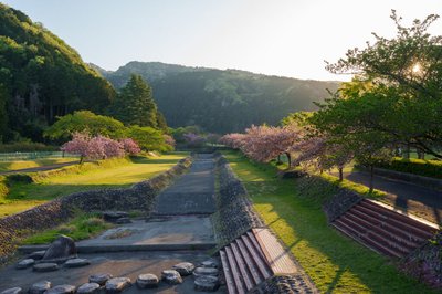 🌸 하네다니 계단식 공원 (하네다니단단코엔) 이미지 2